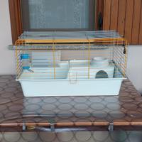 Gabbia per coniglio domestico