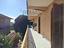 Immagine 12