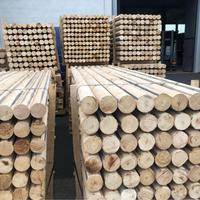 paleria castagno tornito