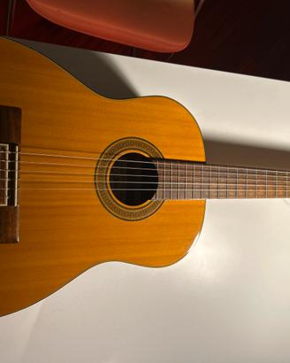 Chitarra acustica AK-200