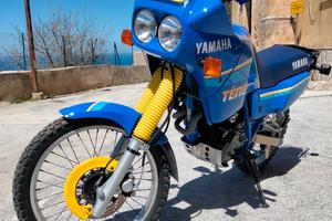 Yamaha XT 600 Z tenere modello 3AJ