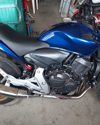Hornet 600