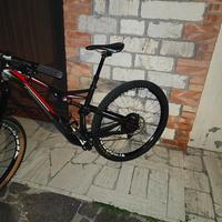 specialized stumpjumper 29
