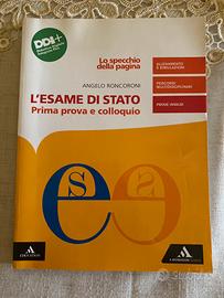Lo specchio della pagina - L’esame di stato