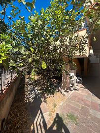Villetta in zona residenziale