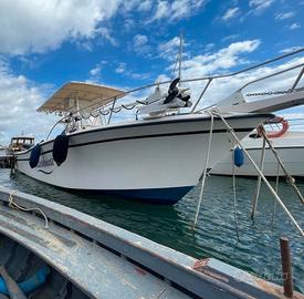 GRADY WHITE 263 CC +2x250hp SUZUKI (2013)