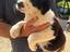 Immagine 1