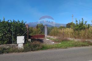 Terreno Industriale - Riposto