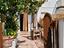 Immagine 12