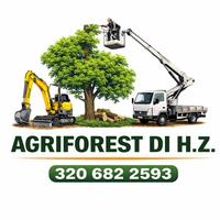 NOSTRI SERVIZI E LEGNA DA ARDERE