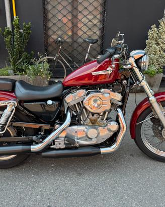 Xlh 883 sportster standard