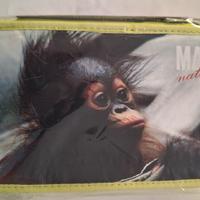 Astuccio scuola bambini