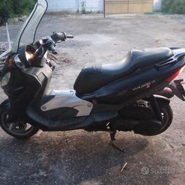 malagutti madison 2001