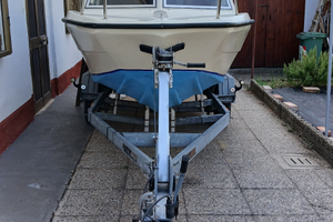 Pilotina con motore evinrude 40cv