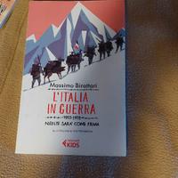 L'Italia in guerra. 1915-1918. Niente sarà più com