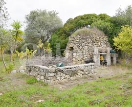 Terreno Agricolo Sennori [Cod. rif 3187081VCG]