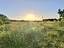 Immagine 12
