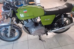 la verza mille anno 1977 