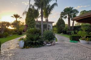 Villa immersa nel verde