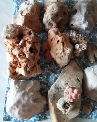 rocce acquario 