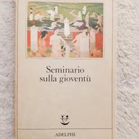Seminario sulla gioventù