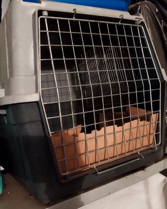 box per trasporto cani di media taglia 