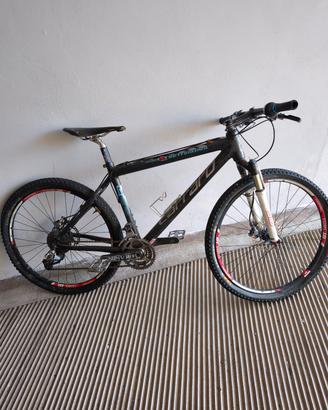 bicicletta MTB o rampichino 