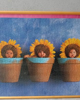 Puzzle con cornice