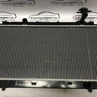 Radiatore Raffreddamento Motore DR Motor Dr5 51dr0