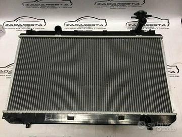 Radiatore Raffreddamento Motore DR Motor Dr5 51dr0