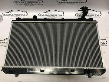 Radiatore Raffreddamento Motore DR Motor Dr5 51dr0