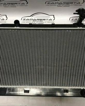 Radiatore Raffreddamento Motore DR Motor Dr5 51dr0