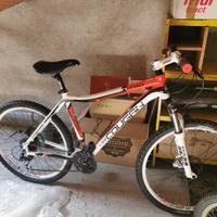 Bici mtb