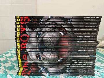 The boys serie completa