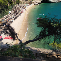 Pugnochiuso i delfini