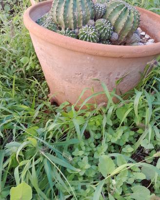 vaso in terracotta antico ( limmu)