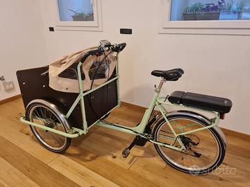 BICI ELETTRICA CARGO TRIKEGO