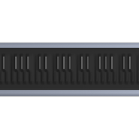 ROLI Seaboard RISE 2 49 Platinum Blue in garanzia