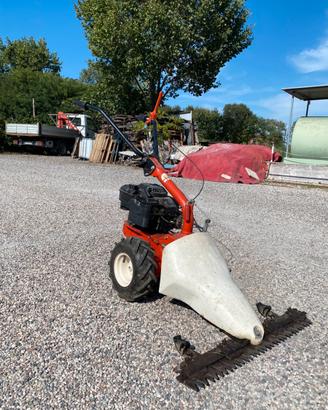 Falciatrice - motofalciatrice Eurosystems P55