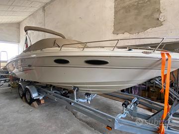 Sea Ray 240