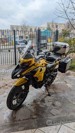 Trk 502x 2021