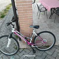 bici usata 