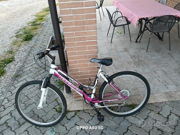 bici usata 