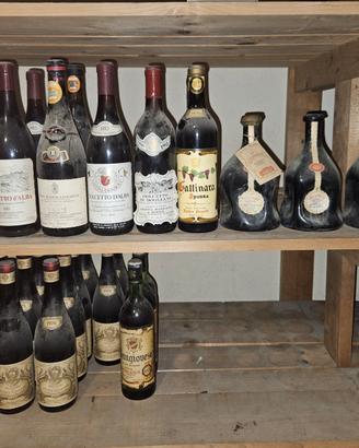 31 Bottiglie di Vini Piemontesi da collezione