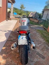 ducati monster