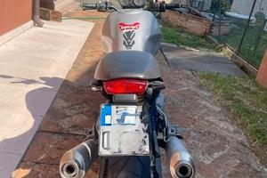 ducati monster