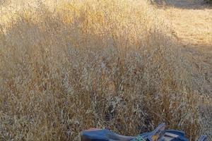 Azienda agricola (seminativo)