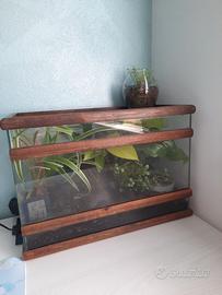 Terrario biotattivo con piante vere
