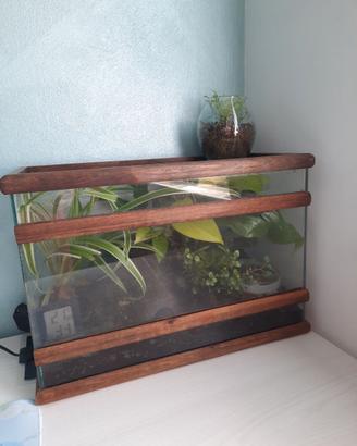 Terrario biotattivo con piante vere