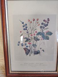 Quadretti arredo € 10,00 cadauno